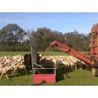Valton Sheep Feeder